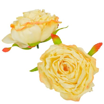 Rózsa virágfej D8cm krém 12db/csom