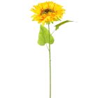 Napraforgó szálas M70cm 240db/#