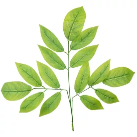 Leveles ág M70cm 12db/köteg