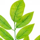 Leveles ág M70cm 12db/köteg