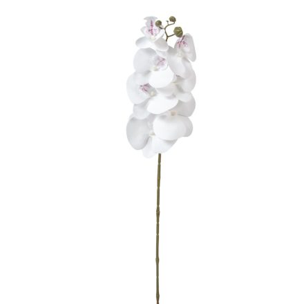 Orchidea szálas gumi fehér M75cm 60db/#