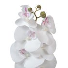 Orchidea szálas gumi fehér M75cm 60db/#