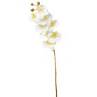 Orchidea szálas gumi fehér M74cm  80db/#
