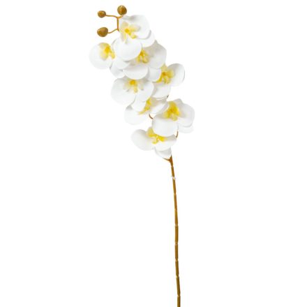 Orchidea szálas gumi fehér M74cm  80db/#