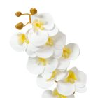 Orchidea szálas gumi fehér M74cm  80db/#