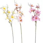 Magnólia ág mix M95cm   36db/#