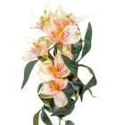 Asztro ág szatén 7v. mix M60cm 36db/#