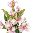 Asztro csokor szatén 7v. mix M45cm 24db/#