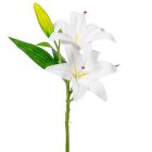 Liliom ág 2v. M35cm 50db/#