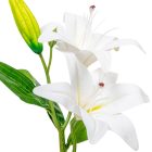 Liliom ág 2v. M35cm 50db/#