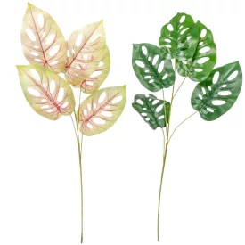 Monstera ág 5l..mix M80cm 60db/#