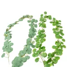 Eukaliptusz girland 190cm mix 20db/#