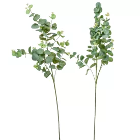 Eukaliptusz ág M92cm 48db/#