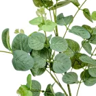 Eukaliptusz ág M92cm 48db/#