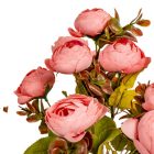 Ranunculus csokor 9v. mix M38cm 24db/#