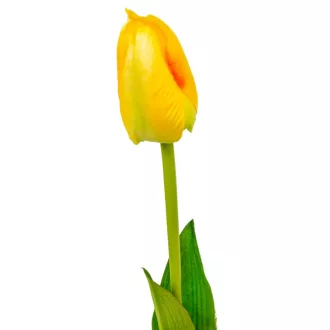 Tulipán szálas szatén mix M54cm 72db/#