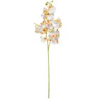Orchidea szálas gumi krém M76cm 48db/#