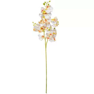 Orchidea szálas gumi krém M76cm 48db/#