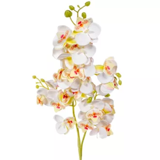 Orchidea szálas gumi krém M76cm 48db/#