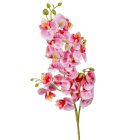 Orchidea szálas gumi mix M76cm 48db/#