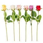 Rózsa szálas mix M45cm 48db/#