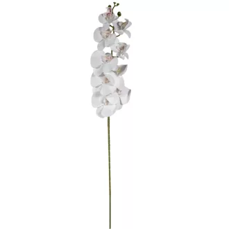 Orhidea szálas gumi krém M105cm 24db/#