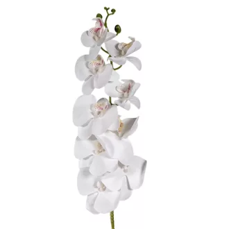 Orhidea szálas gumi krém M105cm 24db/#
