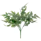 Páfrány bokor hamvas 5ágú M36cm 100db/#