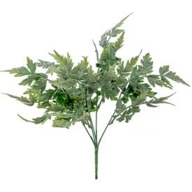 Páfrány bokor hamvas 5ágú M36cm 100db/#