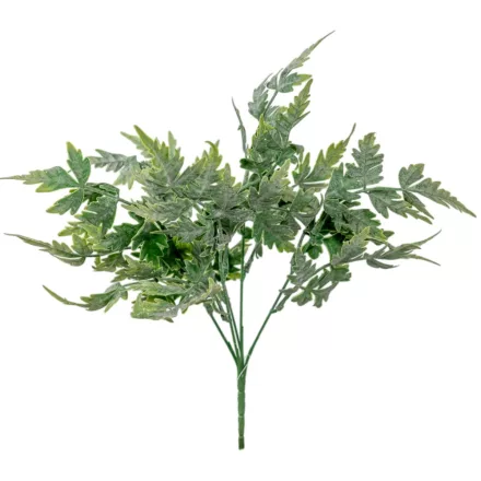 Páfrány bokor hamvas 5ágú M36cm 100db/#