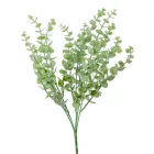 Eukaliptusz bokor hamvas  5ágú M39cm 100db/#