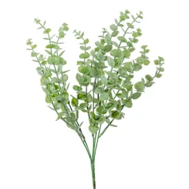 Eukaliptusz bokor hamvas  5ágú M39cm 100db/#