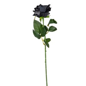 Rózsa szálas bársony fekete M50cm 48db/#