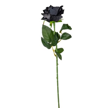 Rózsa szálas bársony fekete M50cm 48db/#