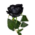 Rózsa szálas bársony fekete M50cm 48db/#