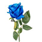 Eózsa szálas bársony kék M50cm 48db/#