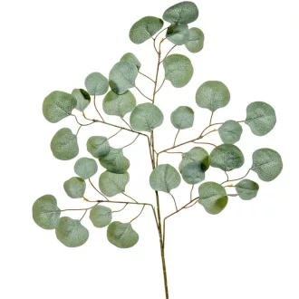 Eukaliptusz leveles ág M66cm 12db/köteg