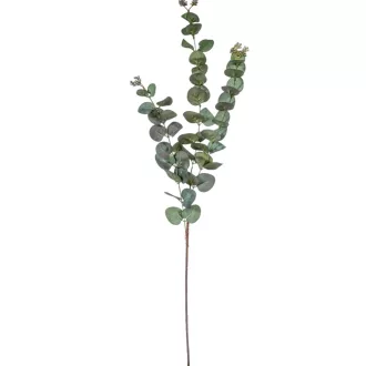 Eukaliptusz ág 3 ágú M87cm 96db/#