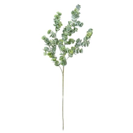 Eukaliptusz ág  zöld M76cm