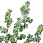 Eukaliptusz ág  zöld M76cm