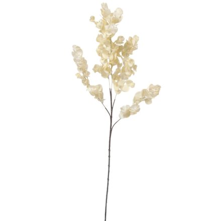 Eukaliptusz ág fehér M76cm