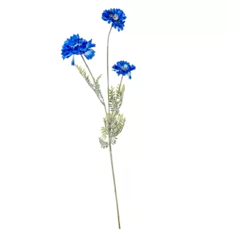Búzavirág szálas M72cm 48db/#