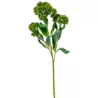 Pozsgás ág 3ágú M50cm 12db/#