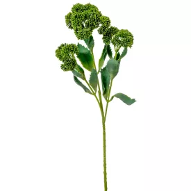 Pozsgás ág 3ágú M50cm 12db/#