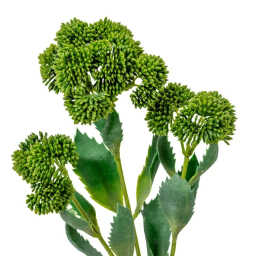 Pozsgás ág 3ágú M50cm 12db/#