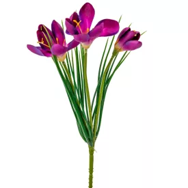 Krókusz  3v. lila M35cm 24db/#