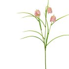 Hóvirág 3v. barna-krém M55cm 24db/#