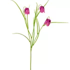 Hóvirág 3v. lila M55cm 24db/#