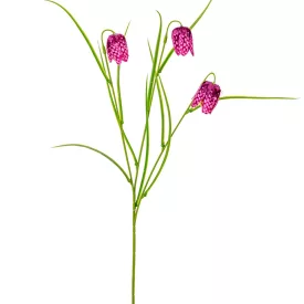 Hóvirág 3v. lila M55cm 24db/#