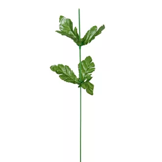 Krizantém szár M46cm db/csom